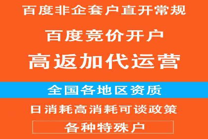 信息流广告投放公司：成功案例解析